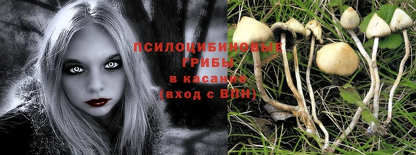 Альфа ПВП Богданович